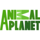 animal-planet